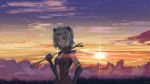  1girl american_beaver_(kemono_friends) animal_ears brown_eyes dailuo elbow_gloves gloves highres kemono_friends light_smile navel outdoors sky sleeveless solo stick sunset tagme unzipped 