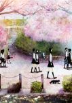  black_hair cat cherry_blossoms multiple_girls original petals scenery school_uniform serafuku shigureteki walking 