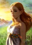  1girl bare_shoulders blonde_hair breasts dress eyelashes from_side grass green_eyes highres jewelry lips long_hair looking_at_viewer necklace outdoors pink_lips pointy_ears princess_zelda sky sleeveless sleeveless_dress smile solo strapless strapless_dress sunset the_legend_of_zelda the_legend_of_zelda:_breath_of_the_wild thick_eyebrows ug_(ugg) upper_body 