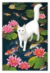  cat cat_focus flower heterochromia koi lily_pad looking_at_viewer no_humans original outdoors ripples signature takigraphic walking walking_on_liquid water white_cat 