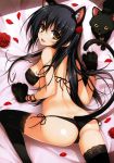  1girl absurdres animal animal_ears ass bangs bare_shoulders black_hair black_legwear blush bra breasts brown_eyes cat cat_ears cat_tail eyebrows_visible_through_hair fake_animal_ears fang flower highres huge_filesize long_hair looking_at_viewer looking_back medium_breasts panties petals rose side-tie_panties smile solo tail tomose_shunsaku underwear 