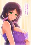  1girl babydoll blush breasts cleavage green_eyes indoors large_breasts long_hair looking_at_viewer love_live! love_live!_school_idol_project low_twintails purple_hair shinki_(shinki59) smile solo toujou_nozomi twintails underwear underwear_only upper_body very_long_hair 
