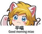  1boy animal_ears blonde_hair blue_eyes blush_stickers cat_ears cat_paws cat_tail chinese eyebrows_visible_through_hair link looking_at_viewer lowres paws shangguan_feiying short_hair smile solo tail the_legend_of_zelda the_legend_of_zelda:_breath_of_the_wild translation_request upper_body 