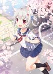  1girl animal_ears bag cat_ears cat_tail cherry_blossoms fang hair_ornament hairclip looking_at_viewer open_mouth original outdoors petals red_eyes running sakuraba_hikaru_(loveindog) school_uniform serafuku short_hair silver_hair solo tail 