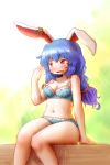  1girl animal_ears arinu bangs bare_arms bare_legs blue_hair blush bra breasts cleavage commentary_request ear_clip eyebrows_visible_through_hair highres lace lace-trimmed_bra lace-trimmed_panties long_hair medium_breasts navel panties rabbit_ears red_eyes seiran_(touhou) sitting solo strap_slip sweat touhou underwear underwear_only 