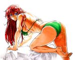  1girl alternate_costume bangs bikini blue_eyes braid breasts closed_mouth from_side green_bikini hong_meiling koyubi_(littlefinger1988) large_breasts long_hair looking_at_viewer looking_to_the_side redhead scar smile solo swimsuit touhou twin_braids 