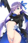  14sai_bishoujo_(shoutarou) 1girl blue_eyes crotch_plate fate/extra fate/extra_ccc fate_(series) flat_chest highres long_hair meltlilith navel purple_hair revealing_clothes sleeves_past_wrists smile solo very_long_hair 