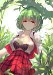  1girl bangs black_bra bra breasts checkered checkered_skirt chiroru_(cheese-roll) cleavage closed_mouth collarbone collared_shirt commentary_request dappled_sunlight day eyebrows_visible_through_hair green_hair highres kazami_yuuka large_breasts leaf looking_at_viewer open_clothes open_shirt outdoors red_eyes red_skirt revision shirt skirt sunlight touhou unbuttoned unbuttoned_shirt underwear vest white_shirt 