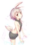  1girl absurdres animal_ears backless_outfit bangs benghuai_xueyuan blush breasts brown_eyes butt_crack dress eyebrows_visible_through_hair from_side grey_hair grey_sweater hair_over_shoulder halterneck hei_huo_chong highres holographic_interface long_hair looking_at_viewer meme_attire naked_sweater parted_lips ribbed_sweater sideboob simple_background small_breasts solo sweater sweater_dress tail theresa_apocalypse turtleneck turtleneck_sweater virgin_killer_sweater white_background 