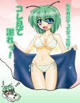  antenna bad_id bikini blue_eyes breasts dream dreaming green_hair hips large_breasts quality ryutotoranoikkiuchi short_hair swimsuit touhou translated translation_request wide_hips wriggle_nightbug 