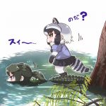 2girls alligator_tail american_alligator_(kemono_friends) animal_ears black_hair black_skirt brown_eyes commentary common_raccoon_(kemono_friends) fur_collar green_hair grey_hair kemono_friends long_hair looking_away multicolored_hair multiple_girls open_mouth partially_submerged photo_reference ponytail raccoon_ears raccoon_tail riding short shoulder_spikes skirt spikes swimming tail tanaka_kusao tree violet_eyes water 