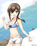  10s 1girl :o alternate_breast_size armband bikini_top blue_bikini_top breasts brown_hair cleavage commentary_request eyebrows_visible_through_hair flower fubuki_(kantai_collection) green_eyes hair_between_eyes hair_flower hair_ornament highres kantai_collection looking_at_viewer minosu open_mouth ponytail shorts solo swimsuit 