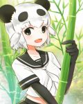  1girl :d bamboo black_eyes black_gloves collarbone elbow_gloves giant_panda_(kemono_friends) gloves hair_flaps kemono_friends looking_at_viewer midriff mugi_(iccomae) open_mouth panda_ears sailor_collar short_hair short_sleeves smile solo twitter_username upper_body white_hair 