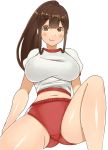  1girl breasts brown_eyes brown_hair buruma gym_uniform impossible_clothes large_breasts long_hair midriff mo-fu navel original ponytail shirt simple_background sitting solo white_background white_shirt 