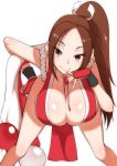  are_(arearee) breasts brown_eyes brown_hair cleavage closed_fan fan fatal_fury folding_fan highres japanese_clothes large_breasts long_hair ninja pelvic_curtain ponytail revealing_clothes shiranui_mai snk the_king_of_fighters 