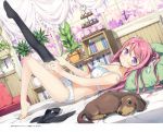  1girl :o absurdres adjusting_clothes adjusting_legwear armchair bangs bare_arms bare_shoulders barefoot bedroom black_legwear blush book bookshelf bow bow_bra bow_panties bra breasts chair curtains dachshund dog dressing dutch_angle eyebrows_visible_through_hair feet flower_pot from_side hair_ribbon hanging_plant highres indoors kantoku knee_up kurumi_(kantoku) leg_up long_hair looking_at_viewer lying medium_breasts no_shoes on_back on_bed one_leg_raised original panties pillow pink_hair plant potted_plant ribbon shelf single_thighhigh solo thigh-highs thighhighs_pull tiered_tray two_side_up underwear underwear_only violet_eyes wainscoting white_bra white_panties white_ribbon 