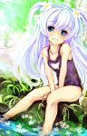  1girl baikamo_(flower_knight_girl) blue_eyes flower flower_knight_girl hair_flower hair_ornament keikotsu leaf long_hair looking_at_viewer nature purple_school_swimsuit school_swimsuit silver_hair sitting smile solo swimsuit two_side_up v_arms 