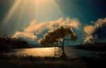  akyuun blurry clouds commentary grass highres lake lens_flare light_rays no_humans original plant scenery sky sunlight swing texture tree vines 