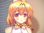  1girl :3 animal_ears blush bow bowtie closed_mouth eyebrows_visible_through_hair highres kemono_friends kisshii_(kic1224) looking_at_viewer manatsu_no_yo_no_inmu orange_bow orange_bowtie orange_eyes orange_hair serval_(kemono_friends) serval_ears short_hair smile solo upper_body 