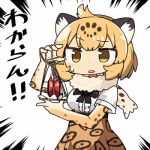  1girl animal_ears blonde_hair bow fur_collar jaguar_(kemono_friends) jaguar_ears jaguar_print kanikama kemono_friends lowres shirt short_hair solo string_play_spider_baby sweatdrop translated yellow_eyes yo-yo 