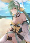  brown_eyes green_hair lancer_(kiyohime) long_hair twintails 