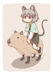  &gt;:) animal_ears blush_stickers capelet capybara commentary_request eyebrows_visible_through_hair gem grey_hair jewelry looking_away mouse_ears mouse_girl mouse_tail nazrin necklace poronegi red_eyes riding shadow shoes sitting_on_animal skirt smile socks tail touhou white_legwear 