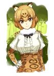  1girl akasaai animal_ears bangs blush brown_eyes brown_hair character_request closed_mouth elbow_gloves eyebrows_visible_through_hair gloves hair_between_eyes hand_on_hip highres kemono_friends looking_at_viewer short_hair short_sleeves sketch smile solo upper_body 