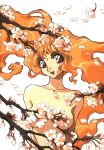  1girl branch breasts cherry_blossoms collarbone convenient_censoring floating_hair highres ishida_atsuko lipstick makeup medium_breasts nude orange_eyes orange_hair petals red_eyes simple_background solo white_background 
