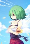  1girl artist_request bare_arms black_shirt choker clouds cloudy_sky collarbone commentary_request day flower from_side green_hair hair_between_eyes highres kazami_yuuka petals plaid plaid_skirt red_eyes red_skirt shirt short_hair skirt sky smile solo strap_slip sunflower touhou upper_body 