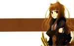   holo spice_and_wolf tagme  