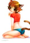  barefoot brown_hair cat_ears nanjo_kisara nanjou_kisara nozomi_(artist) panties shijou_saikyou_no_deshi_ken'ichi shijou_saikyou_no_deshi_kenichi short_hair tail underwear 