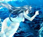  blue_eyes kouno_yukiyo long_hair one-piece_swimsuit swimming swimsuit umi_no_megami_sora_no_megami underwater 