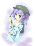  bag blue_eyes blue_hair cucumber cucumbers hair_bobbles hair_ornament ichiju kawashiro_nitori key ogami_kazuki pinky_out touhou twintails 