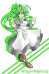  antenna apron green_eyes green_hair hemogurobin_a1c ladle long_hair maid ponytail touhou wriggle_nightbug 