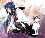  bell blue_hair cat collar long_hair nirok original school_uniform serafuku skirt squatting thigh-highs thighhighs yellow_eyes zettai_ryouiki 