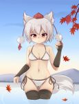  animal_ears autumn_leaves bare_shoulders bikini black_legwear blush breasts collarbone groin hat highres hotel01 inubashiri_momiji leaf looking_at_viewer medium_breasts mountain nature navel outdoors red_eyes short_hair silver_hair swimsuit tail thigh-highs tokin_hat touhou water wolf_ears wolf_tail 
