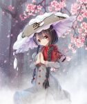  1girl ajirogasa bangs black_hair braid breasts commentary_request dress grey_dress hands_clasped hands_together hat long_hair long_sleeves medium_breasts orange_eyes outdoors red_ribbon ribbon smile snow snowing solo standing touhou twin_braids winter yatadera_narumi z.o.b 