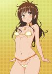  1girl bikini breasts brown_eyes brown_hair choker fuchi_(touo) gradient gradient_background harem_outfit headdress jewelry long_hair midriff navel necklace small_breasts smile solo standing swimsuit to_love-ru yuuki_mikan 