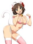  10s 1girl ahoge animal_ears arched_back bangs bare_shoulders bell bell_collar bikini blush breasts brown_hair cat_ears cat_tail chikuishi cleavage collar collarbone commentary_request fang front-tie_top green_eyes hair_ribbon hands_up hips idolmaster idolmaster_cinderella_girls large_breasts looking_at_viewer maekawa_miku navel open_mouth paw_pose pink_bikini pink_legwear red_ribbon ribbon shiny shiny_skin short_hair side-tie_bottom simple_background smile swept_bangs swimsuit tail thighs waist white_background wristband 