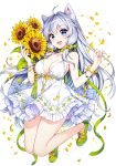  1girl absurdres animal_ears bangs blue_eyes blush bracelet breasts cat_ears cleavage collar collarbone dress eyebrows_visible_through_hair flower full_body high_heels highres holding jewelry long_hair medium_breasts nardack official_art open_mouth petals ribbon scan short_dress silver_hair simple_background sleeveless smile solo sunflower white_dress world_teacher_-isekaishiki_kyouiku_agent- 