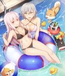  2girls :d absurdres ahoge animal ball bangs bare_arms bare_legs bare_shoulders beachball bikini black_bikini blush bottle breasts bucket cleavage cocktail cocktail_glass collarbone criss-cross_halter cup day dog drinking_glass eyebrows_visible_through_hair eyelashes food fruit girls_frontline glass grey_hair groin hair_between_eyes hallohi halter_top halterneck hand_on_own_chest hands_up highres ice_bucket innertube iron_cross kar98k_(girls_frontline) large_breasts lemon lemon_slice long_hair looking_at_viewer medium_breasts midriff multiple_girls navel o-ring_bikini o-ring_bottom open_mouth outdoors partially_submerged pool pool_ladder poolside red_eyes round_teeth rubber_duck shiba_inu shiny shiny_skin short_hair side-by-side side-tie_bikini silver_hair smile soda soda_bottle sparkle stomach strap_gap string_bikini swimming swimsuit tdi_vector_(girls_frontline) teeth upper_teeth water wet white_hair yellow_eyes yukkuri_shiteitte_ne 