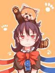  1girl animal animal_on_head asymmetrical_wings bangs black_dress black_hair blush bow bowtie closed_mouth dress furorina houjuu_nue long_hair looking_up on_head raccoon red_bow red_bowtie red_eyes short_sleeves touhou upper_body v_arms wavy_mouth wings 
