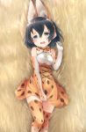  1girl animal_ears blush bow commentary cosplay covering covering_crotch elbow_gloves gloves highres kaban_(kemono_friends) kemono_friends kuro_(baseball0000) looking_at_viewer lying on_back open_mouth serval_(kemono_friends) serval_(kemono_friends)_(cosplay) serval_ears serval_print serval_tail short_hair skirt skirt_pull sleeveless solo tail 