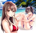  2girls akagi_(kantai_collection) beach bikini blue_bikini breasts brown_hair collarbone eating food imagining kaga_(kantai_collection) kantai_collection long_hair medium_breasts multiple_girls ocean popsicle red_bikini sand side_ponytail sitting sky swimsuit tree u0709 