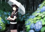  1girl ahoge bangs black_hair black_serafuku black_skirt blue_eyes blue_flower blurry blurry_background blush braid breasts commentary_request cowboy_shot flower hair_ornament hair_over_shoulder hair_ribbon holding holding_umbrella hydrangea kantai_collection looking_at_viewer medium_hair necktie puddle rain red_necktie red_ribbon ribbon school_uniform serafuku shigure_(kantai_collection) skirt small_breasts smile smug solo tress_ribbon umbrella under_umbrella wasabi60 white_umbrella 