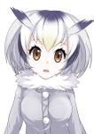  1girl brown_eyes cosmicsnic fur_collar gradient_hair head_wings highres kemono_friends looking_at_viewer multicolored_hair northern_white-faced_owl_(kemono_friends) open_mouth short_hair silver_hair simple_background solo white_background 
