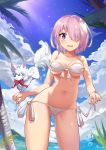  1girl bikini character_request clouds cowboy_shot dog fate/grand_order fate_(series) fisheye front-tie_top hair_over_one_eye highres jehyun looking_at_viewer outdoors palm_tree purple_hair shielder_(fate/grand_order) short_hair side-tie_bikini swimsuit tree violet_eyes white_bikini 