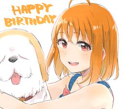  1girl :d ahoge bare_shoulders blush collar dog dog_collar english eyebrows_visible_through_hair hair_between_eyes happy_birthday highres hug looking_at_viewer love_live! love_live!_sunshine!! monsieur open_mouth orange_hair portrait red_eyes shiitake_(love_live!_sunshine!!) short_hair simple_background smile solo takami_chika white_background 