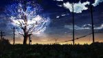  blue_sky cable cherry_blossoms clouds cloudy_sky commentary_request glowing grass highres night night_sky no_humans original outdoors scenery sky sunrise telephone_pole tree y_y_(ysk_ygc) 