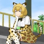  10s 1girl :/ belt black_bow blonde_hair blurry bow breasts brown_hair center_frills chin_rest closed_mouth commentary_request day depth_of_field elbow_gloves eyebrows_visible_through_hair fur_collar gloves high-waist_skirt ichinose_rokujou jaguar_(kemono_friends) jaguar_ears jaguar_print jaguar_tail kemono_friends legs_crossed medium_breasts multicolored_hair outdoors palm_tree railing shirt short_sleeves skirt sky solo thigh-highs tree two-tone_hair white_shirt yellow_eyes 